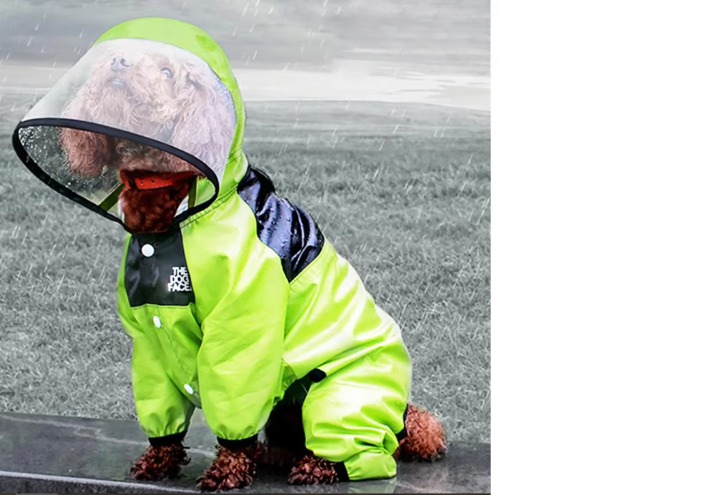 Imperméable pour chien – Combinaison légère et waterproof