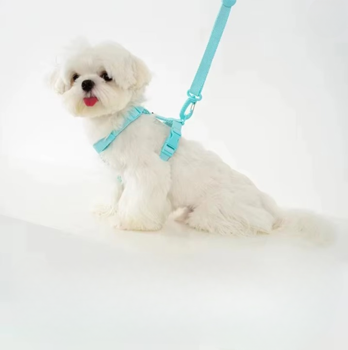 Ensemble harnais et laisse réglable pour chien