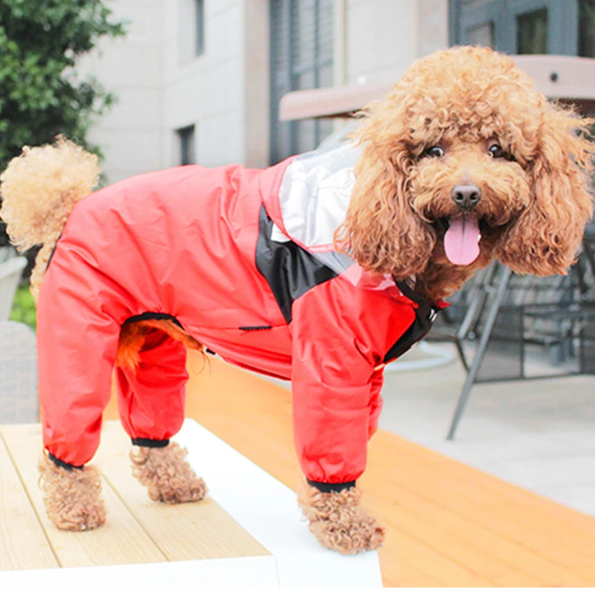 Imperméable pour chien – Combinaison légère et waterproof