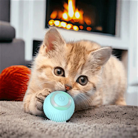 Balle interactive automatique pour chats